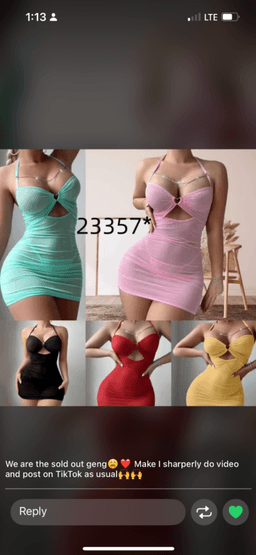 Female lingerie